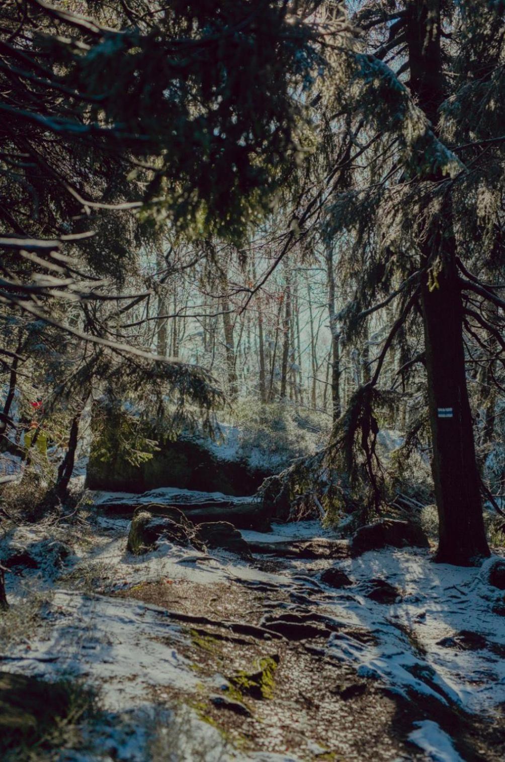 Wataha Pod Basztami - Alfa - Domki Caloroczne Radkow Extérieur photo